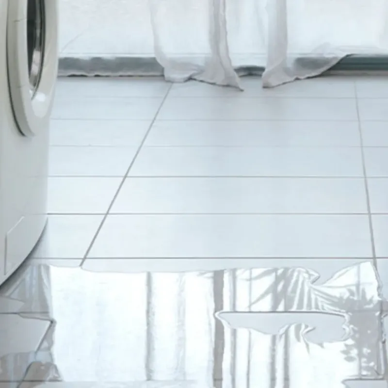 Appliance Leak Cleanup in Energy, IL