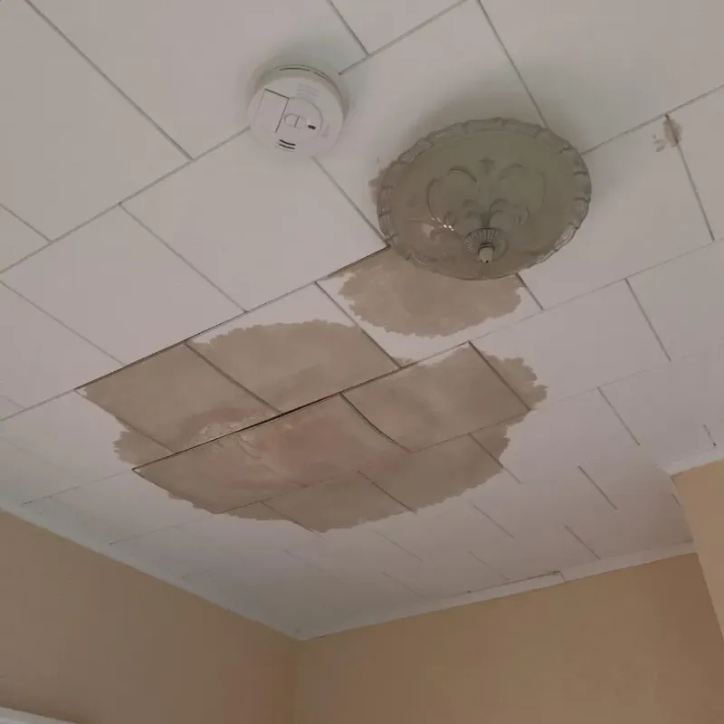 Ceiling Water Damage Repair in Energy, IL