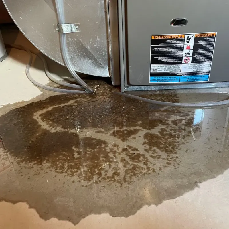 Pipe Burst and Leak Restoration in Energy, IL