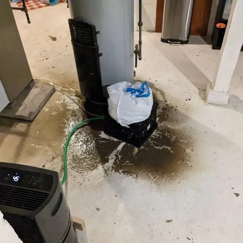 Sewage Backup Cleanup Service in Energy, IL